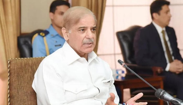 Prime Minister of Pakistan Shehbaz Sharif during cabinet session. Photo&mdash;PML-N Facebook