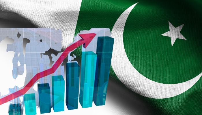 The two sources of vulnerability for Pakistan are the economy and politics &mdash; Geo.tv