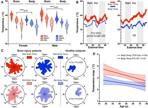 Disrupted temperature rhythms in brain-injured patients. &mdash; Brain