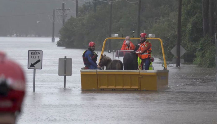 An emergency crew rescues two ponies from a flooded area in Milperra, Sydney metropolitan area, Australia July 3, 2022 in this screen grab obtained from a handout video. &mdash; Reuters