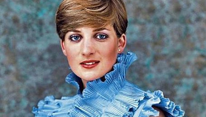 Princess Diana piercing blue eyes win hearts in rare photo ahead of death anniversary
