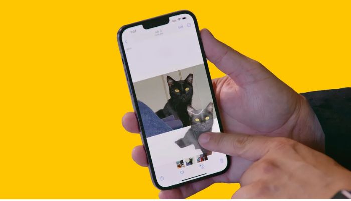 iPhones tap-and-lift feature seen on&nbsp;public beta of iOS 16. &mdash;Celso Bulgatti/CNET