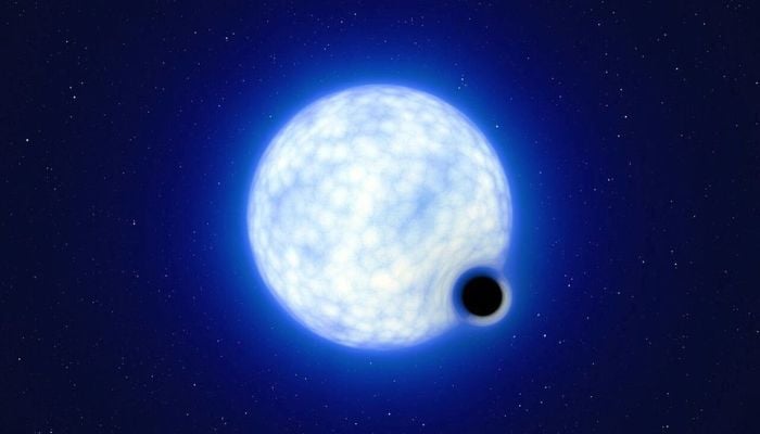 An artist&rsquo;s impression showing what the binary star system VFTS 243 &ndash; containing a black hole and a large luminous star orbiting each other - might look like if we were observing it up close is seen in this undated handout image. The system, which is located in the Tarantula Nebula in the Large Magellanic Cloud galaxy, is composed of a hot, blue star with 25 times the sun&rsquo;s mass and a black hole, which is at least nine times the mass of the sun. &mdash; Reuters