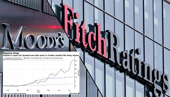 IMF loan may unlock more financing from other sources - Fitch and Moody website