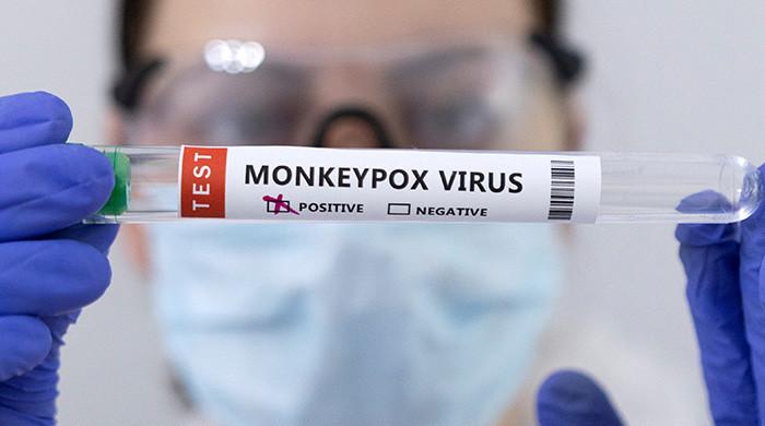 Health minister issues instructions after WHO imposes global emergency on monkeypox