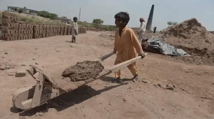 Child labour: Are we doing enough to stop it?
