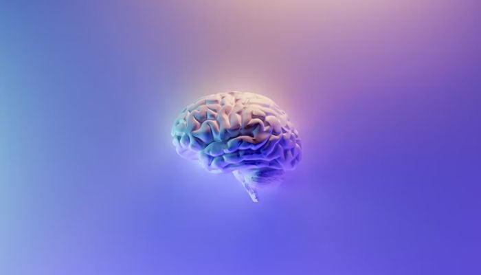 Illustration of human brain.&mdash; Unsplash