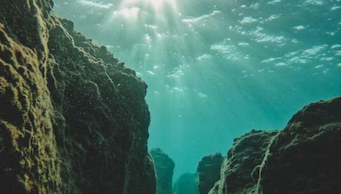 Under the ocean. &mdash; Unsplash