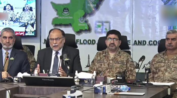 Pakistan vows to bring back 'normalcy' after cataclysmic floods kill over 1,200