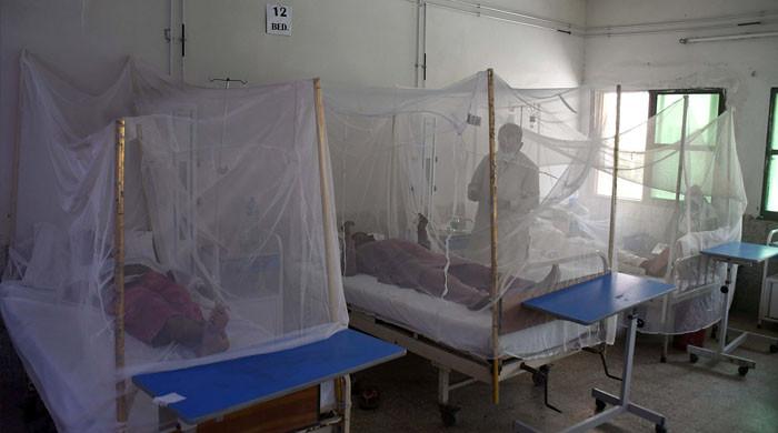 Unnecessary platelets transfusion revealed in dengue patients in Karachi