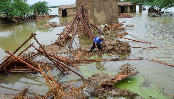 People retrieve bamboos from a damaged house following rains and floods during the monsoon season in Dera Allah Yar, district Jafferabad, Balochistan, Pakistan August 25, 2022. — Reuters
