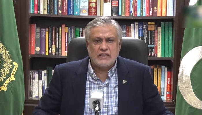 Finance Minister Ishaq Dar speaking during a televised address in Islamabad, on October 31, 2022. — YouTube/PTVNewsLive