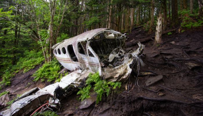 A crashed plane somewhere in the Blue Ridge Mountains, United States. For representation only. — Unsplash