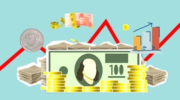 The future of Pakistan's economy - Part I