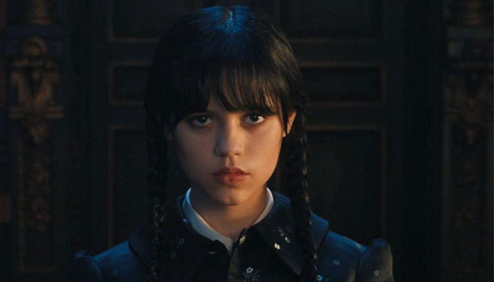Netflix: Wednesday five best characters in the Netflix series
