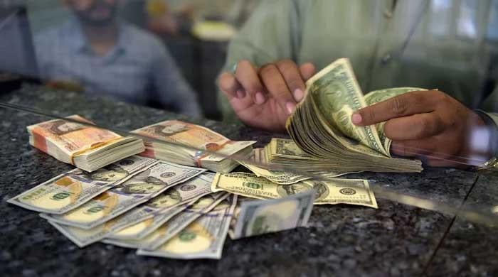 Pakistan's economic security