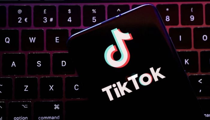 TikTok app logo is seen in this illustration taken, August 22, 2022. REUTERS/Dado Ruvic/Illustration