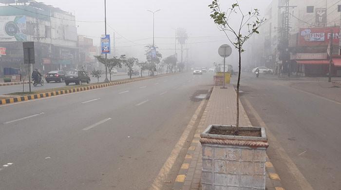 Dense fog causes disruption of road and air traffic