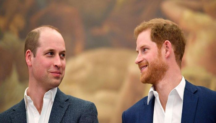 Prince Harry says he and William urged Charles not to marry Camilla