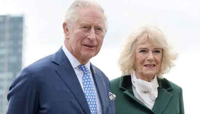 Prince Harry says he and William urged Charles not to marry Camilla