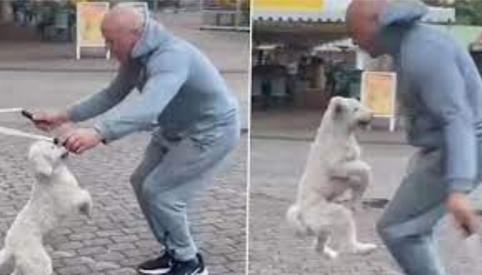 Balus adorable skips along with his human companion Wolfgang Lauenburger.— Screengrab via Instagram