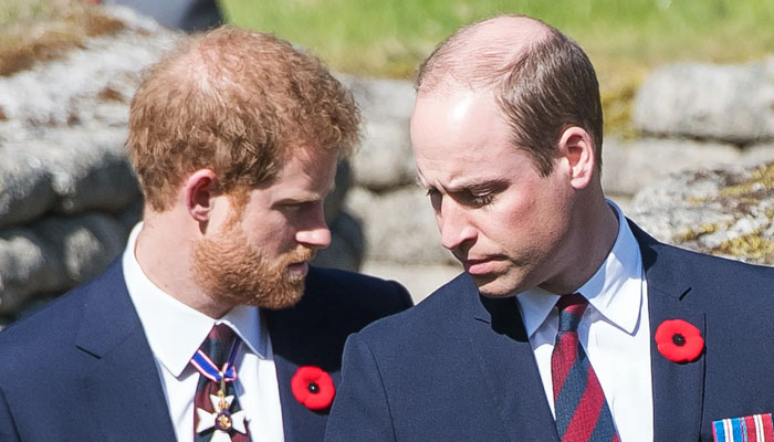 Prince Harry claimed in his memoir Spare that Prince William once insensitively mocked his panic attacks