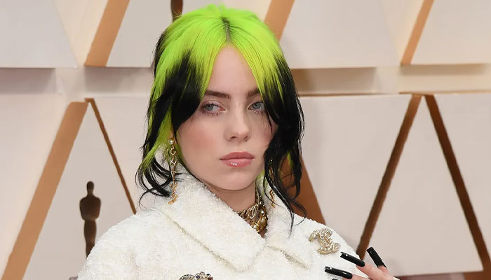 Billie Eilish reportedly seeking restraining order against alleged home burglar
