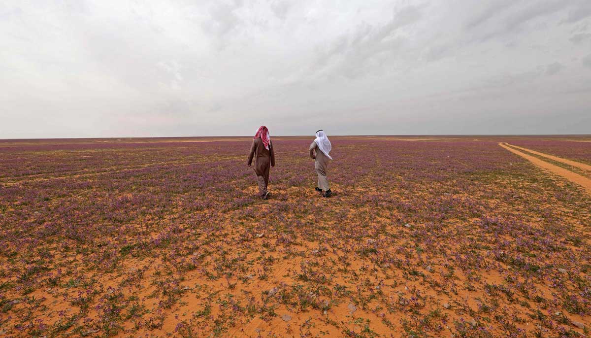 Men walk in the field on February 13, 2023. — AFP