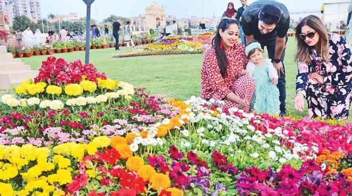 Annual Flower Show: A sight for sore eyes 