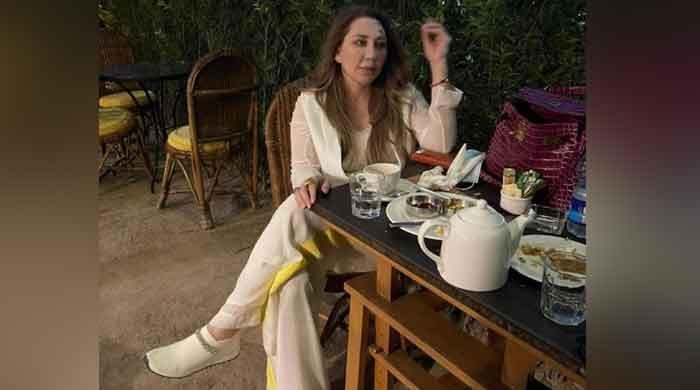 How many foreign companies Farah Gogi and her family own?