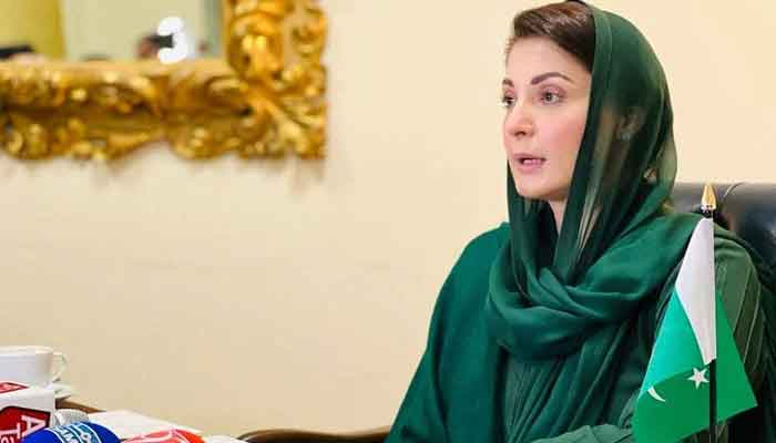 Pakistan Muslim League-Nawaz (PML-N) Senior Vice President and chief organiser Maryam Nawaz speaks to the media on November 1, 2022. — Twitter