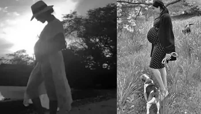 Meghan Markles beautiful pregnancy photos taken by Prince Harry