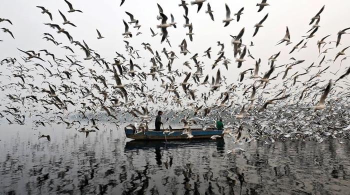 Islam and environment