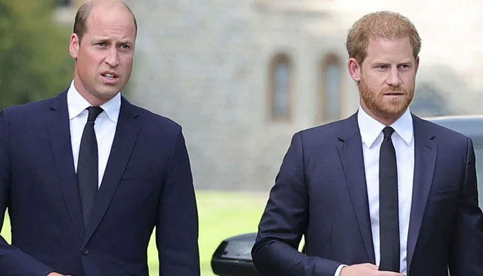 Prince William’s ‘firm warning’ to Prince Harry revealed