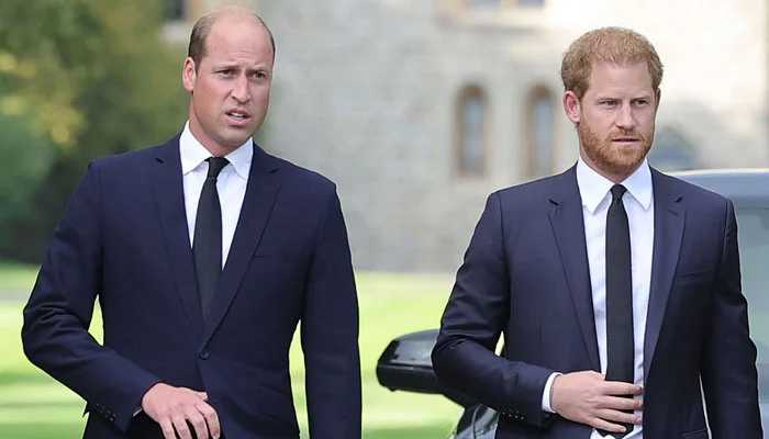 Prince William ‘lacks compassion’ for Prince Harry, Meghan Markle