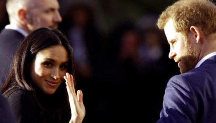 Prince Harry, Meghan Markle ‘failed to take adequate precautions’