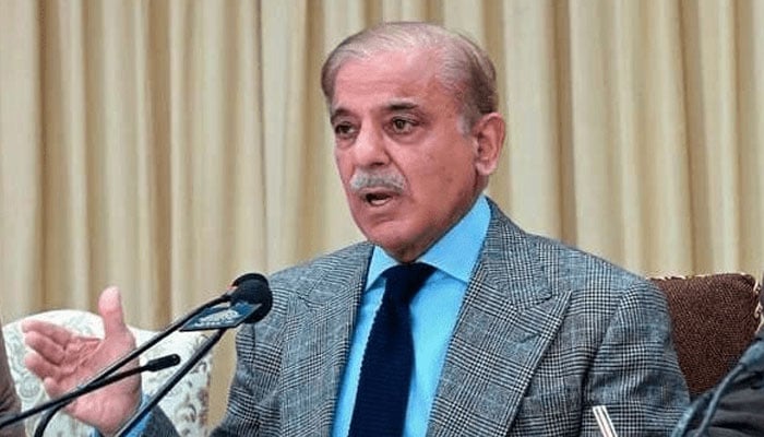 Prime Minister Shehbaz Sharif addresses an event. PPI/File
