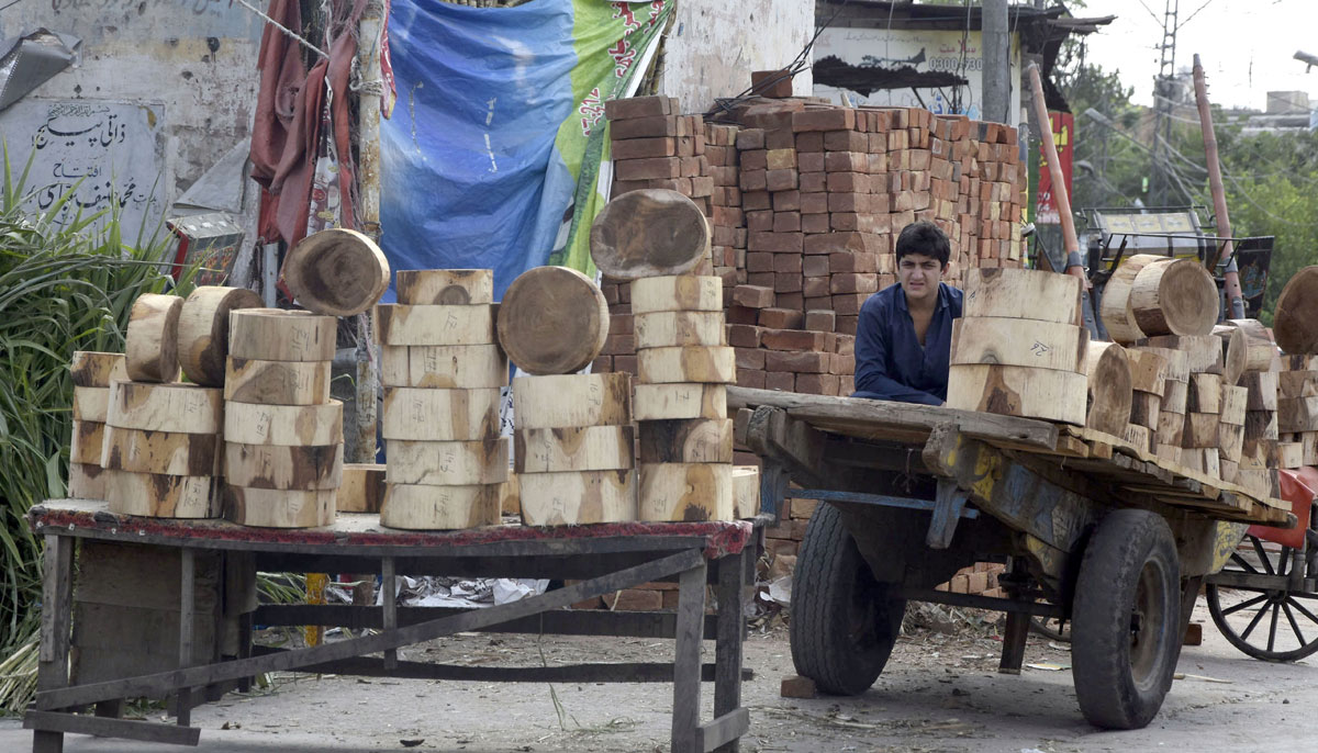 A vendor has displayed Butchers Blocks along the roadside due to high demand ahead of Eid-ul-Azha, in the city of Rawalpindi on June 27, 2023. — Online