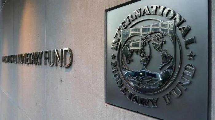 Understanding the good and the bad of the IMF lifeline