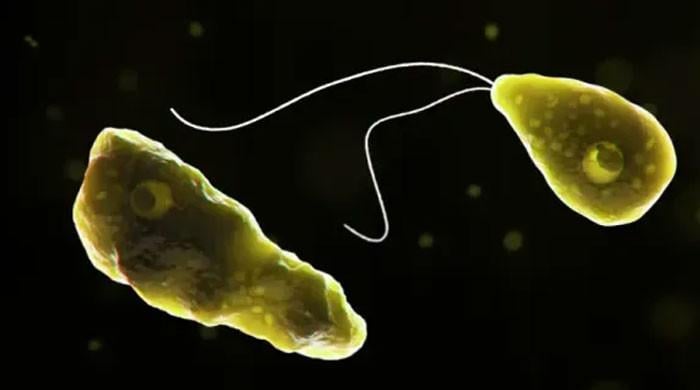 21-year-old loses life to Naegleria fowleri in Karachi