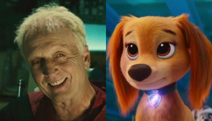 Fans prepare for the next box office contest as ‘Paw Patrol’ and ‘Saw IX’ announce same release dates