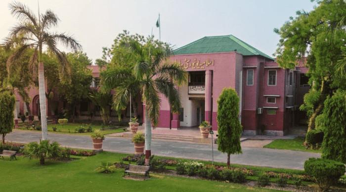 Committee formed to probe 'drug peddling, immoral activities' at Bahawalpur varsity