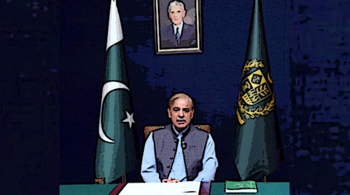 Did Shehbaz Sharif's govt outperform PTI regime? Here's what analysts say