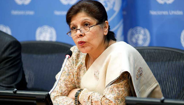 Caretaker Finance Minister Shamshad Akhtar. — Radio Pakistan/File