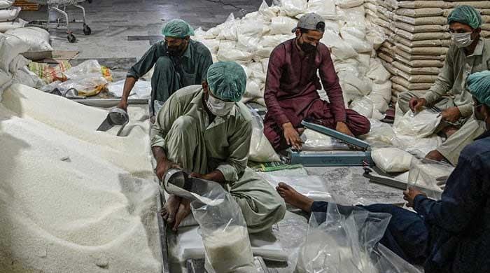 PPP, PML-N trade blame as sugar price reaches historic high 