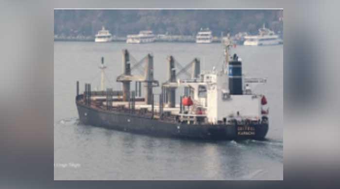 PNSC ship stranded at Chittagong port after accident