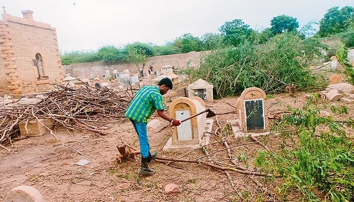 A worker is chopping off a bush to restore the Jewish cemetery of Mewa Shah &mdash; Photo by author
