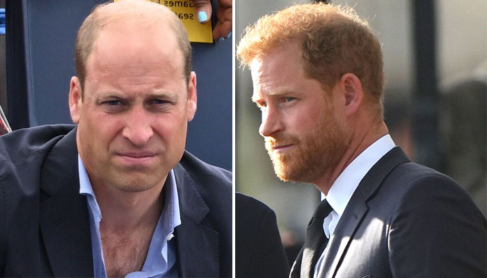 Prince William’s being ‘sold’ better than Prince Harry