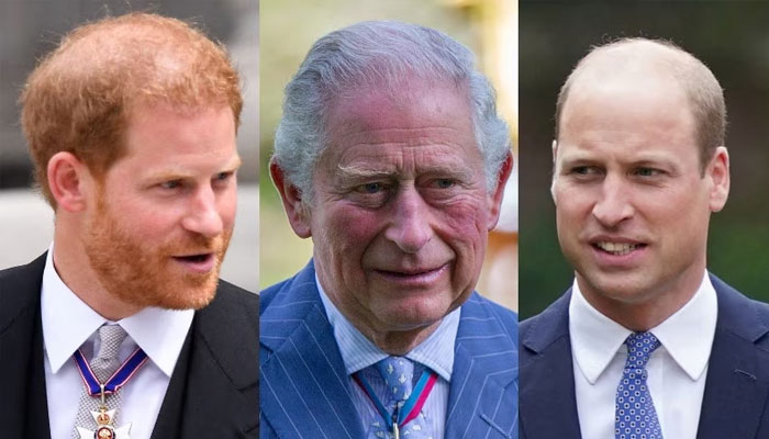 King Charles in tricky business, forgiving Harry will make William mad