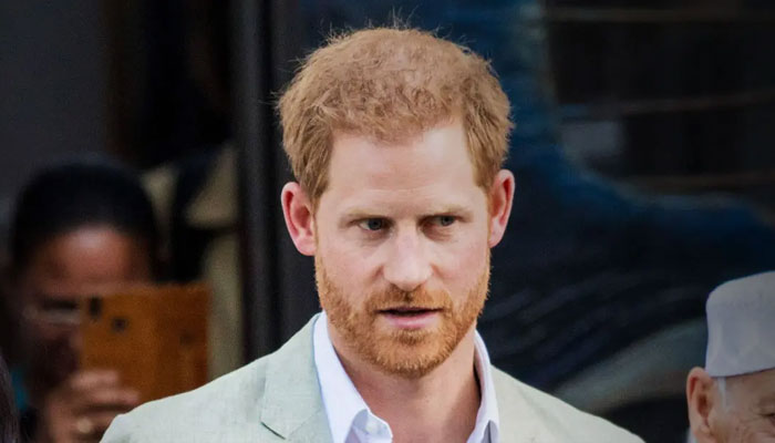Prince Harry into wholesale sparks ridicule: ‘Will we see dishwashing soap’